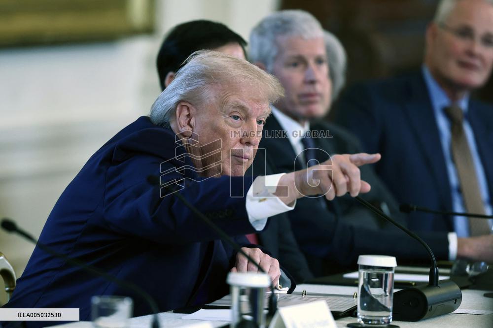 US President Donald Trump mets with oil executives in the East Room