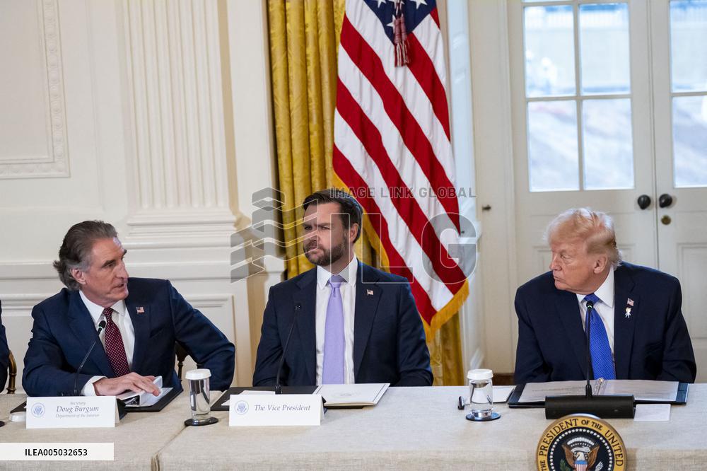 President Trump Meets With Oil and Gas Executives in Washington, DC