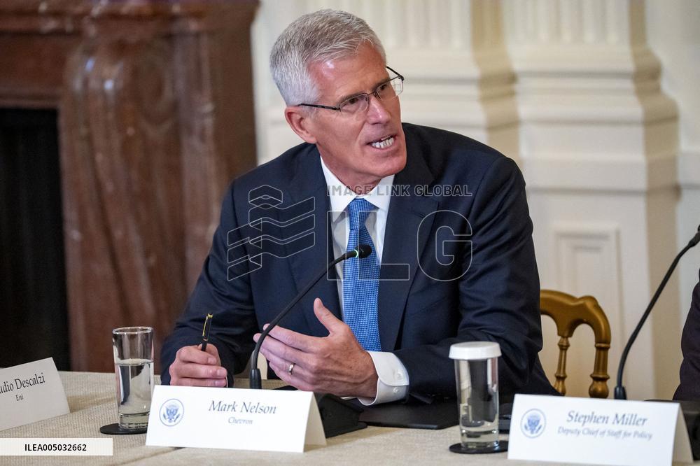 President Trump Meets With Oil and Gas Executives in Washington, DC