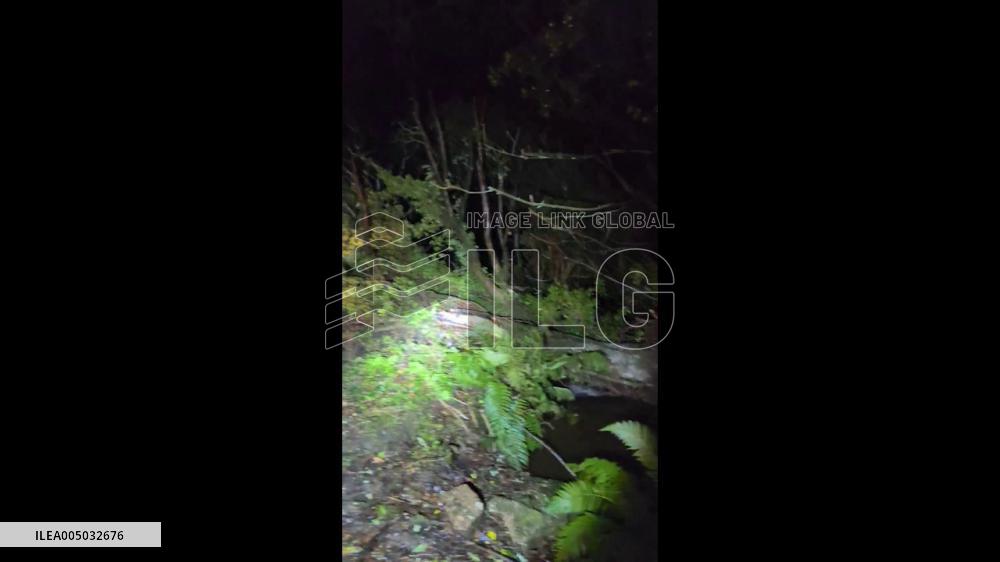 UK: Storm Goretti Brings Damaging Winds, Knocking Down Trees and Power Lines 2