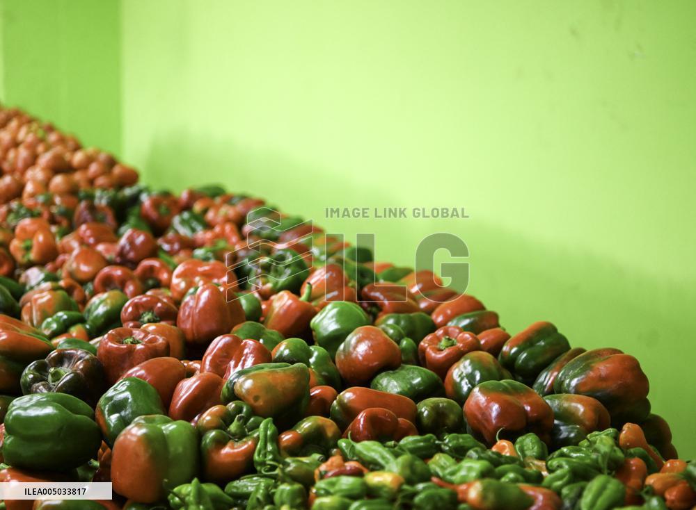 Daily Life - Caracas