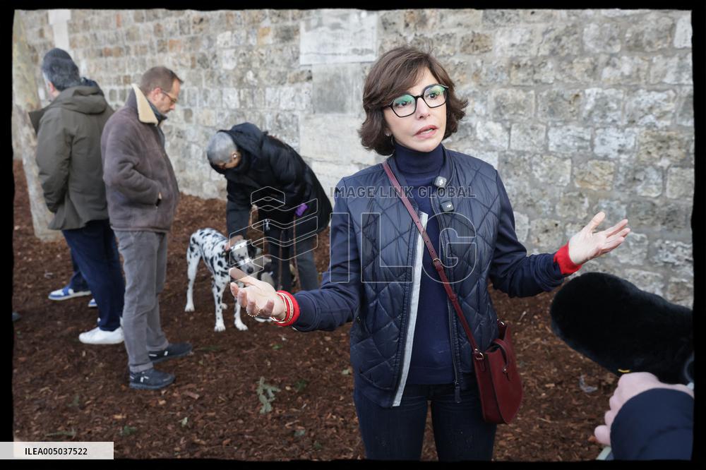 Exclusive - Dog Wellness Spaces in Paris With Rachida Dati - Paris