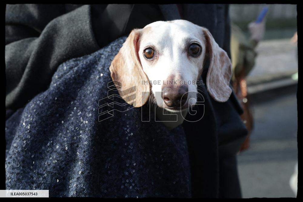 Exclusive - Dog Wellness Spaces in Paris With Rachida Dati - Paris