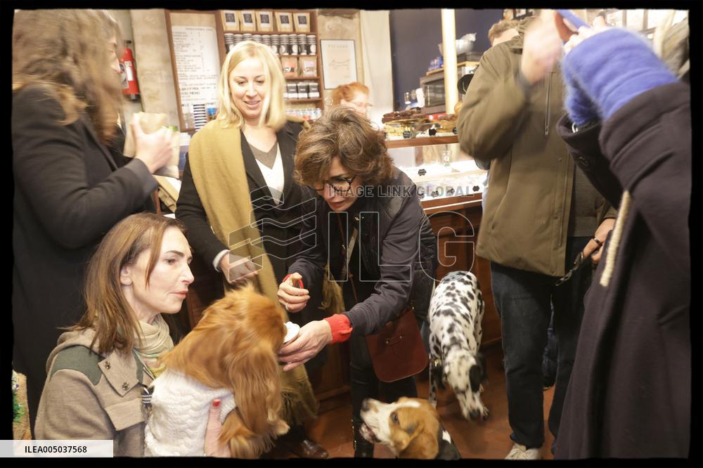 Exclusive - Dog Wellness Spaces in Paris With Rachida Dati - Paris