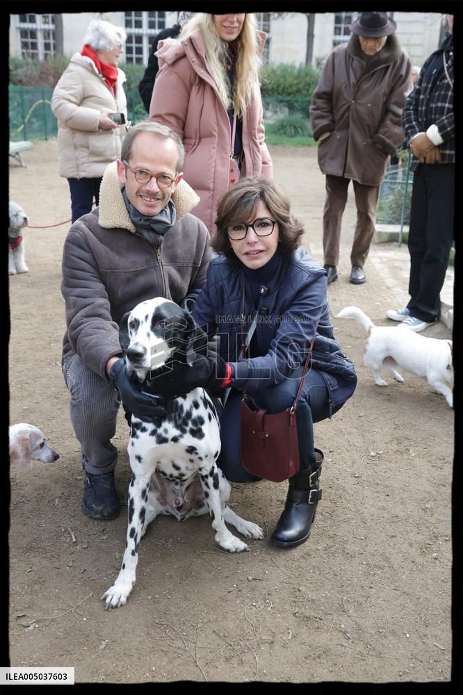 Exclusive - Dog Wellness Spaces in Paris With Rachida Dati - Paris