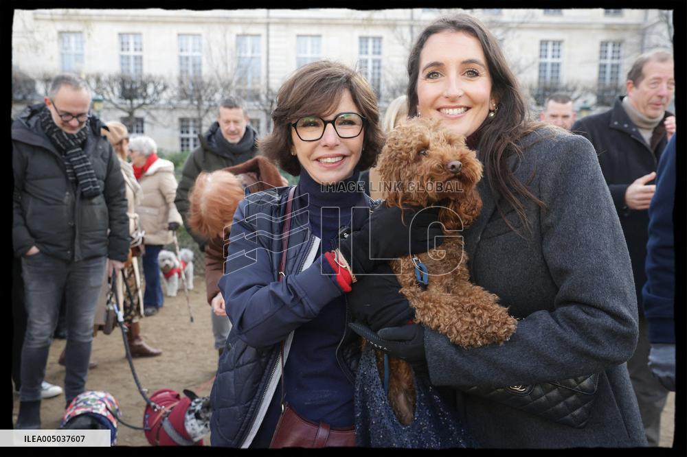 Exclusive - Dog Wellness Spaces in Paris With Rachida Dati - Paris