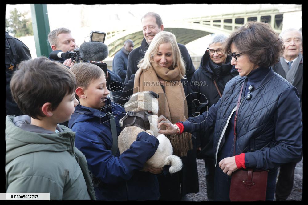 Exclusive - Dog Wellness Spaces in Paris With Rachida Dati - Paris