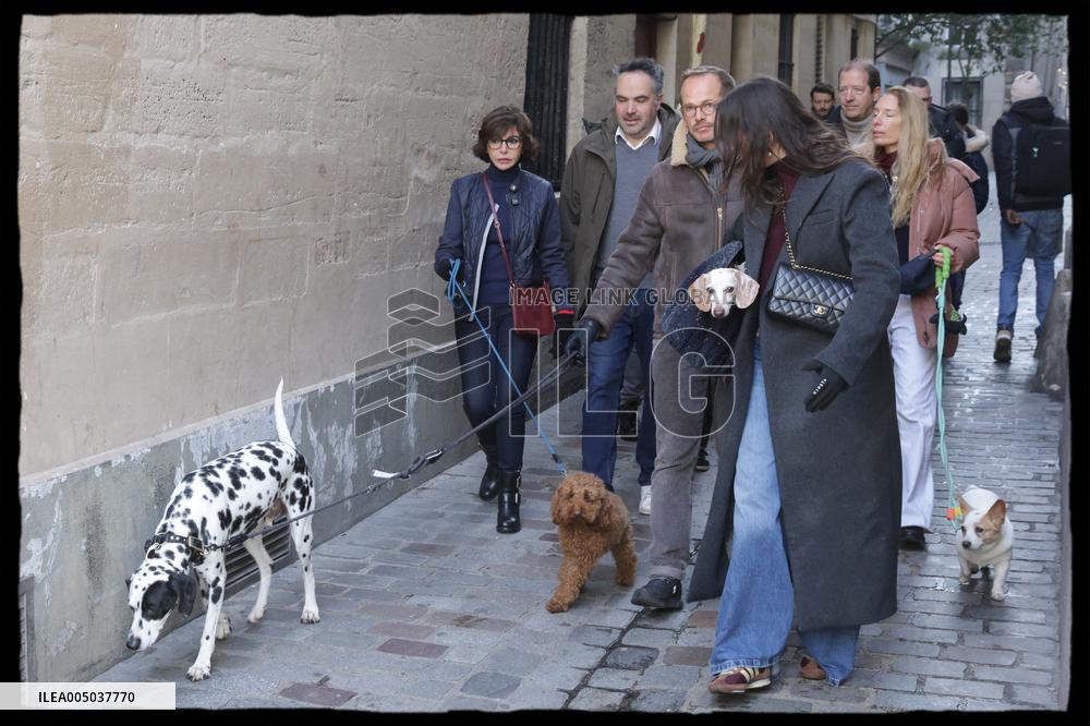 Exclusive - Dog Wellness Spaces in Paris With Rachida Dati - Paris