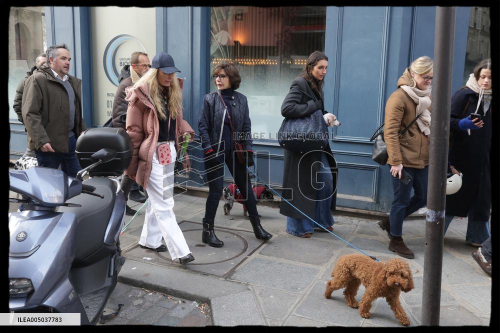 Exclusive - Dog Wellness Spaces in Paris With Rachida Dati - Paris