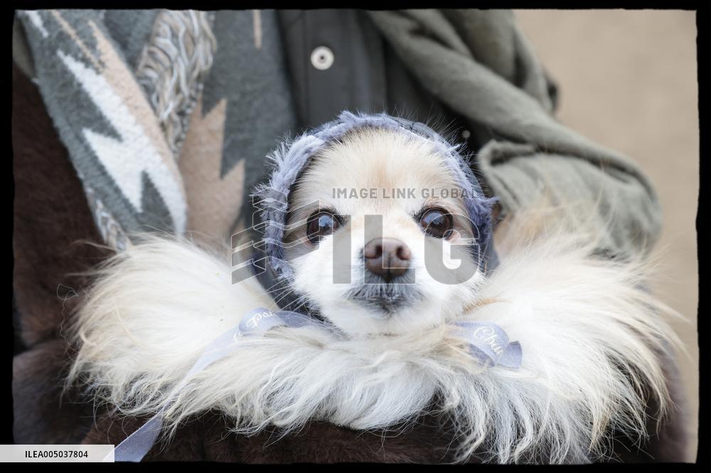 Exclusive - Dog Wellness Spaces in Paris With Rachida Dati - Paris