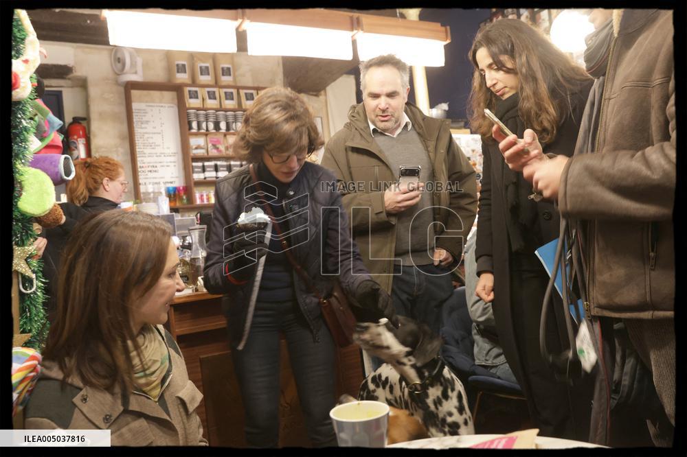 Exclusive - Dog Wellness Spaces in Paris With Rachida Dati - Paris