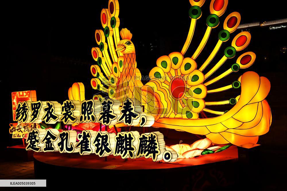 New Year Lantern Festival in Xi'an
