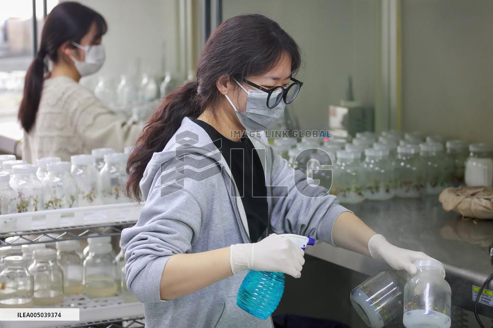 Agriculture Science And Technology