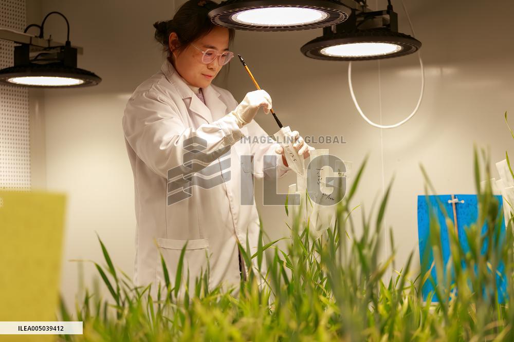 Agriculture Science And Technology