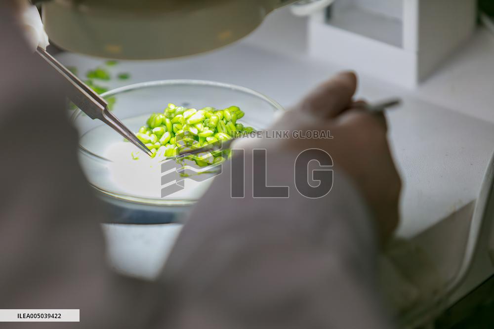 Agriculture Science And Technology