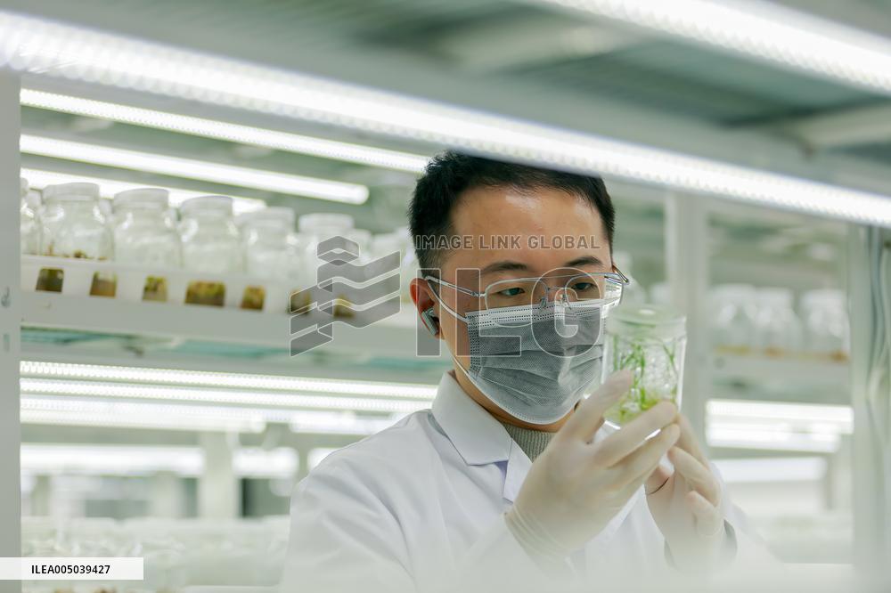 Agriculture Science And Technology