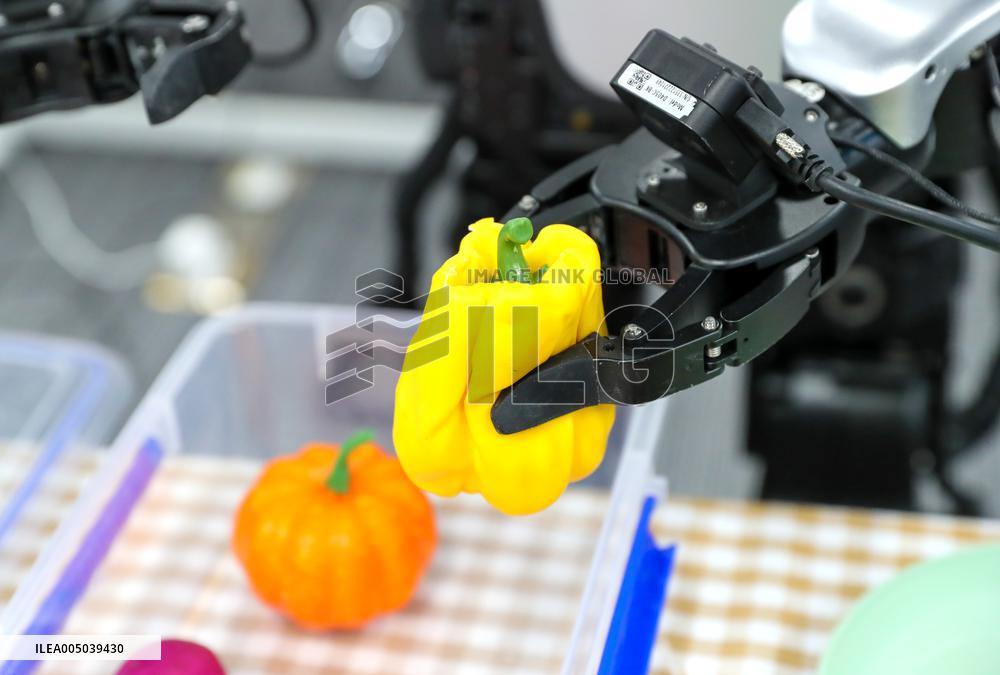 Humanoid Robot Data Collection Training Ground in Qingdao