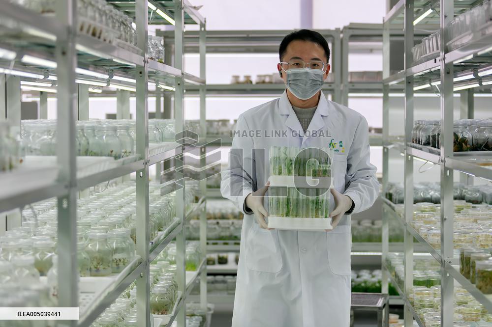 Agriculture Science And Technology