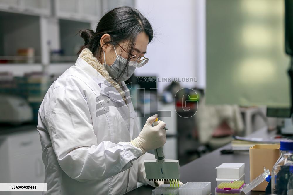 Agriculture Science And Technology