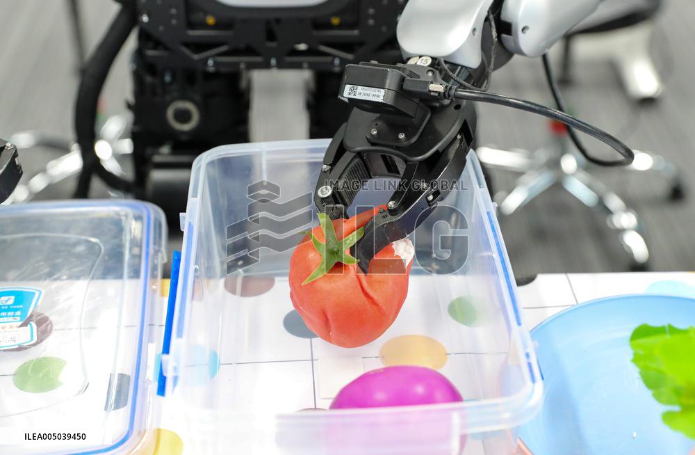 Humanoid Robot Data Collection Training Ground in Qingdao