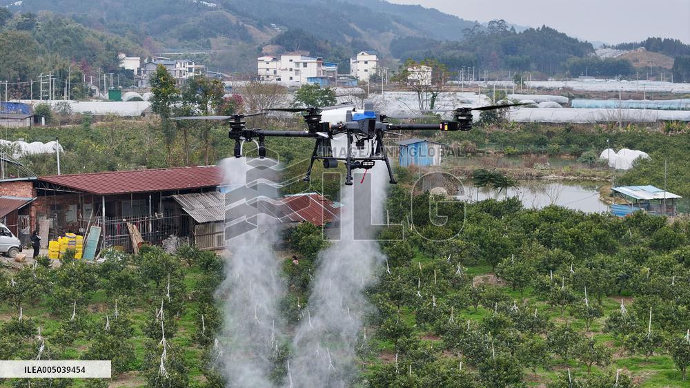 Intelligent Agriculture