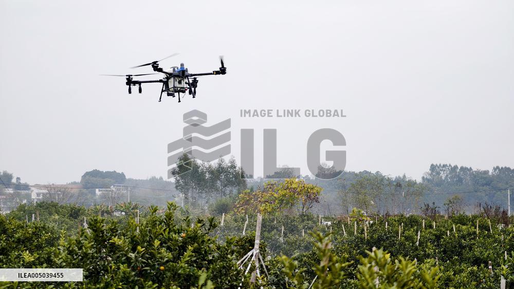 Intelligent Agriculture