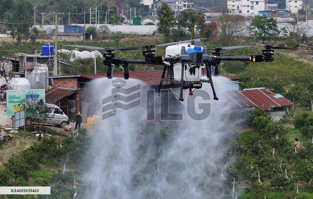 Intelligent Agriculture