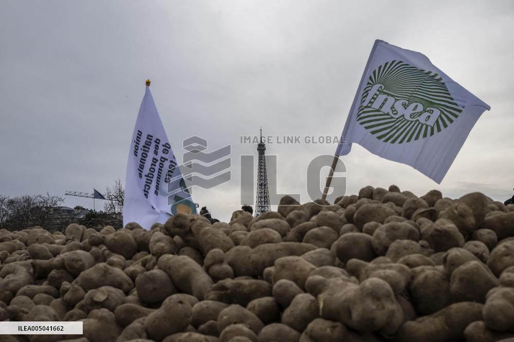 Farmers Dump 30 Tonnes of Potatoes on The Concorde Bridge - Paris