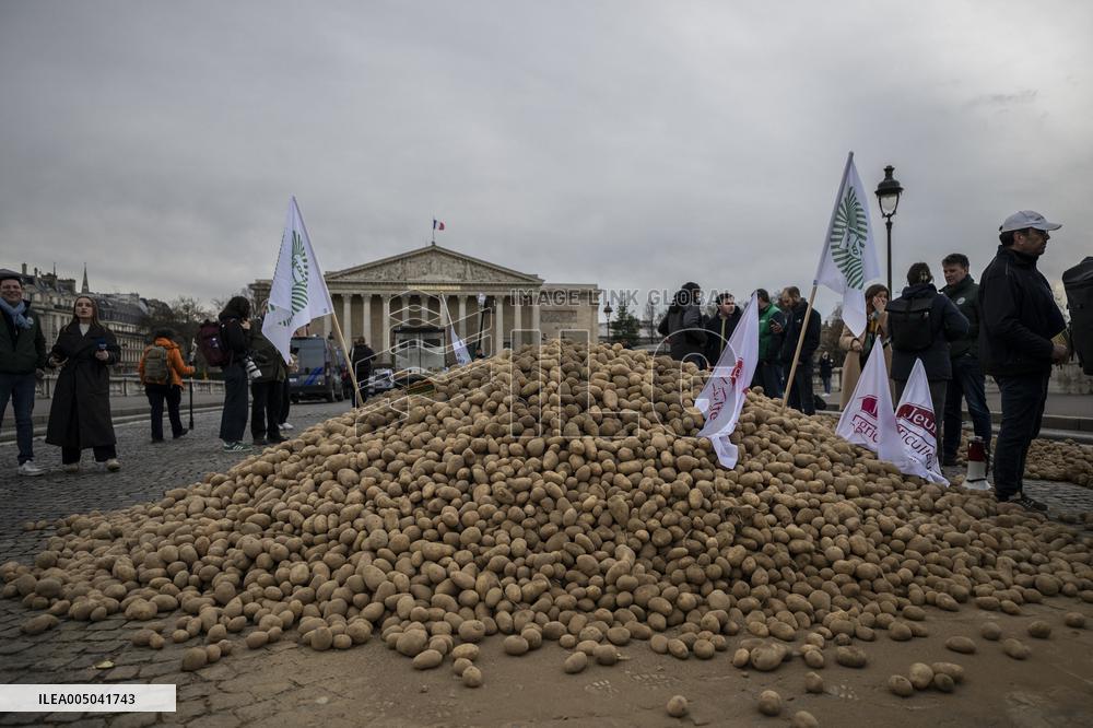 Farmers Dump 30 Tonnes of Potatoes on The Concorde Bridge - Paris