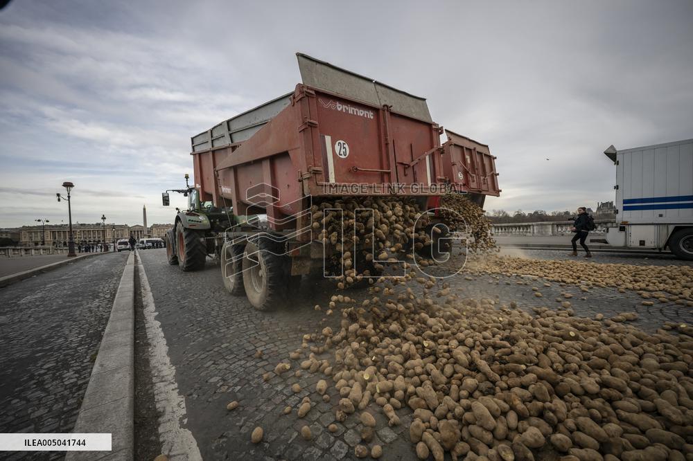 Farmers Dump 30 Tonnes of Potatoes on The Concorde Bridge - Paris