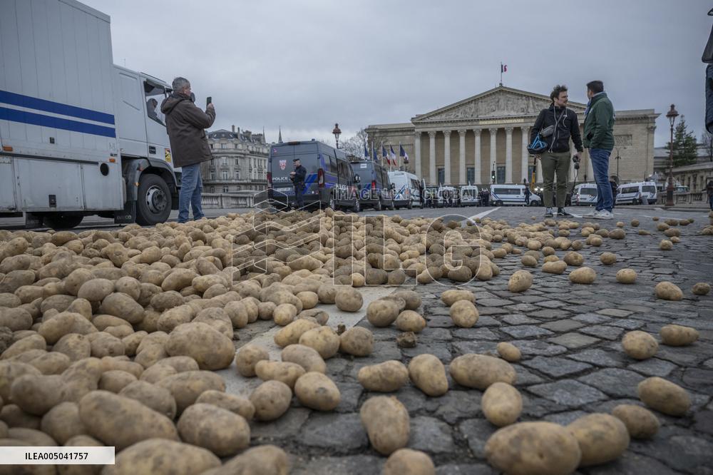 Farmers Dump 30 Tonnes of Potatoes on The Concorde Bridge - Paris