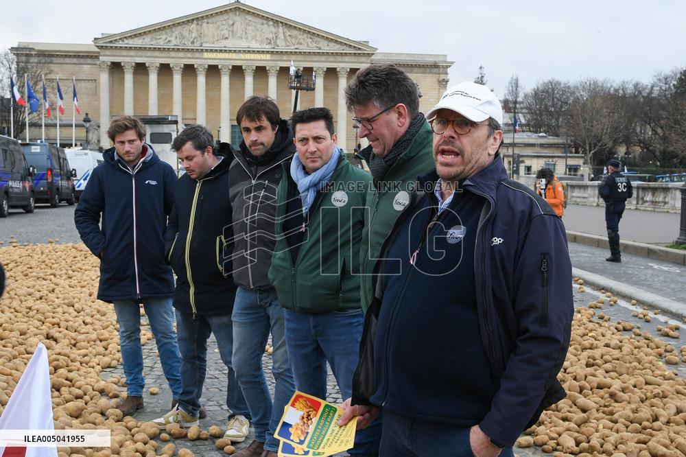 Farmers Dump 30 Tonnes of Potatoes on The Concorde Bridge - Paris