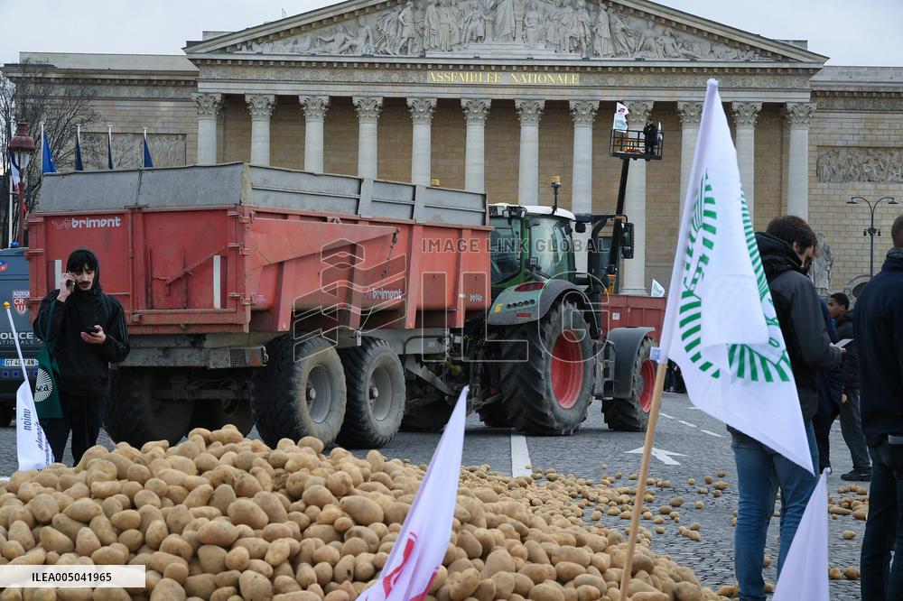 Farmers Dump 30 Tonnes of Potatoes on The Concorde Bridge - Paris