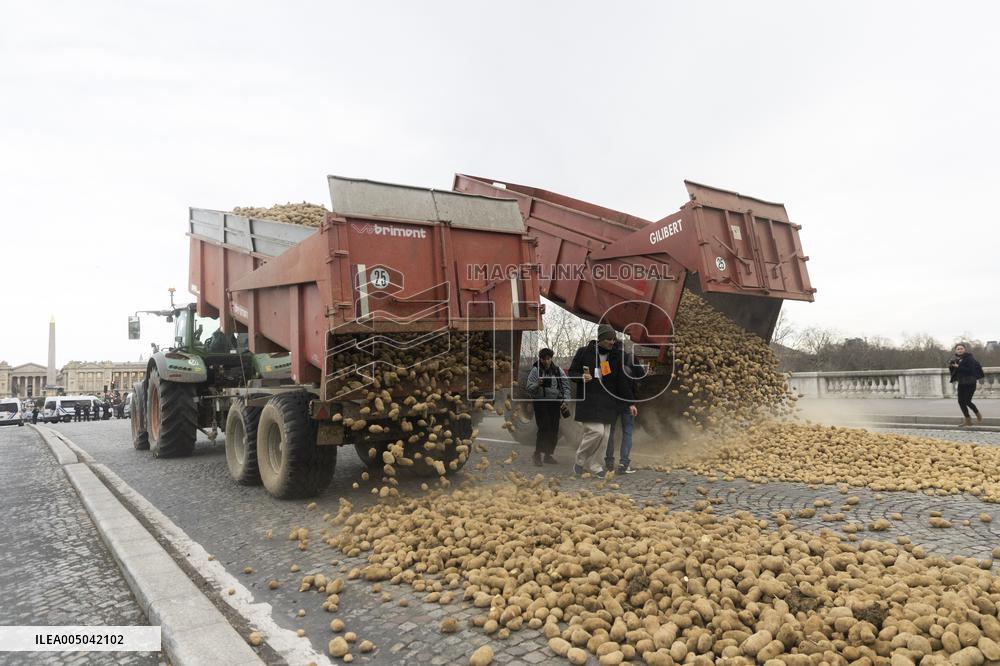 Farmers Dump 30 Tonnes of Potatoes on The Concorde Bridge - Paris