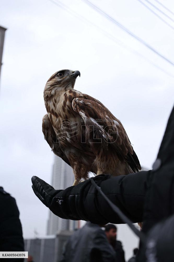 League Match - Erbil SC v Rival Team