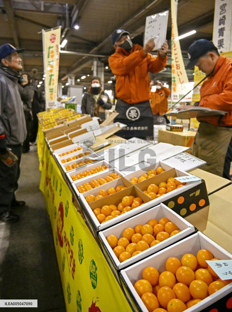 Year's 1st kumquat auction in Japan