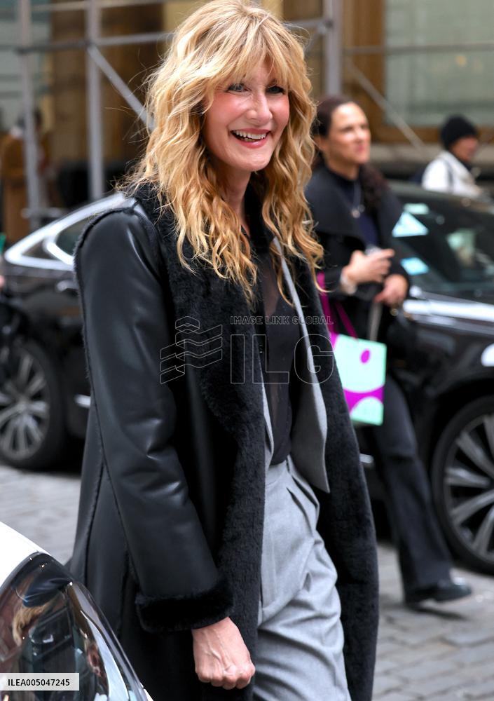 Laura Dern Leaving Her Hotel - NYC