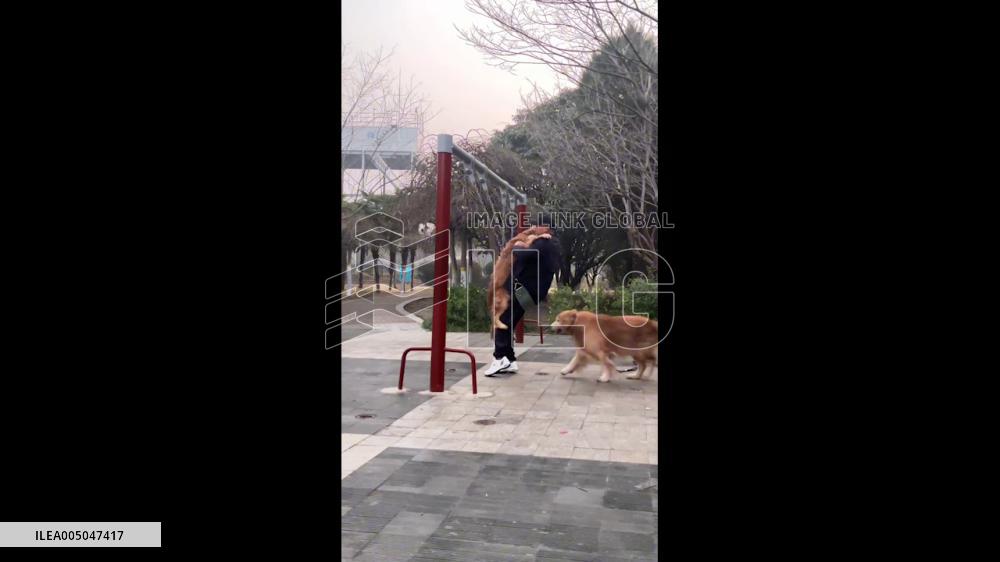 China: Man and Golden Retriever Fall From Swing in Henan