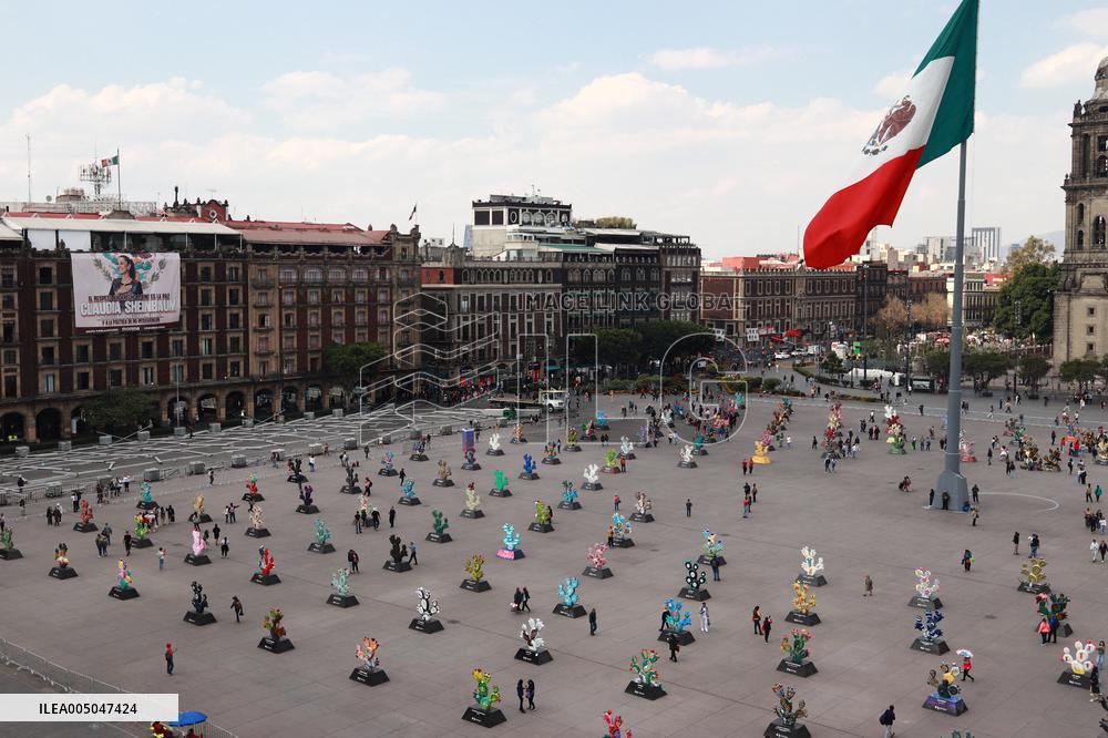 Nopalera Exhibition In Main Square Zocalo - Mexico City