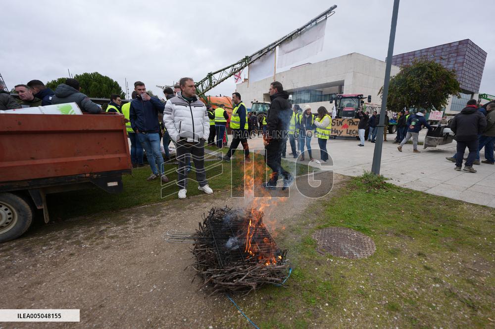 A tractor rally in Valladolid to demand policies that do not destroy the primary sector