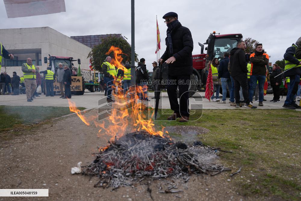 A tractor rally in Valladolid to demand policies that do not destroy the primary sector