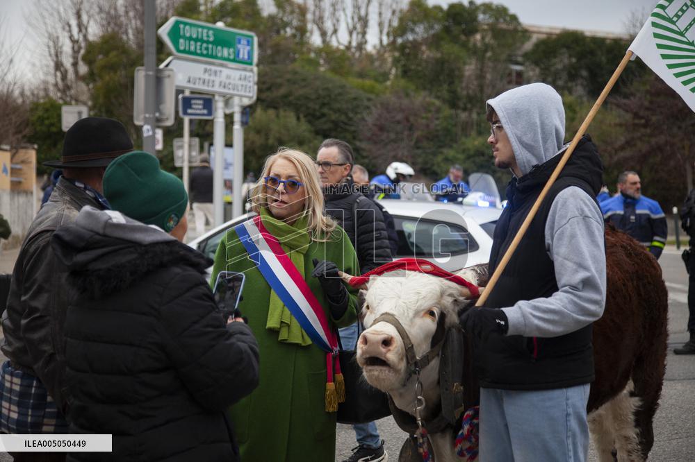 Farmers Protest - Aix-en-Provence