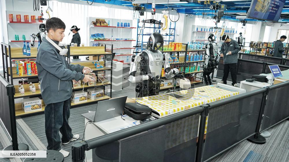 Humanoid Robot Training Ground