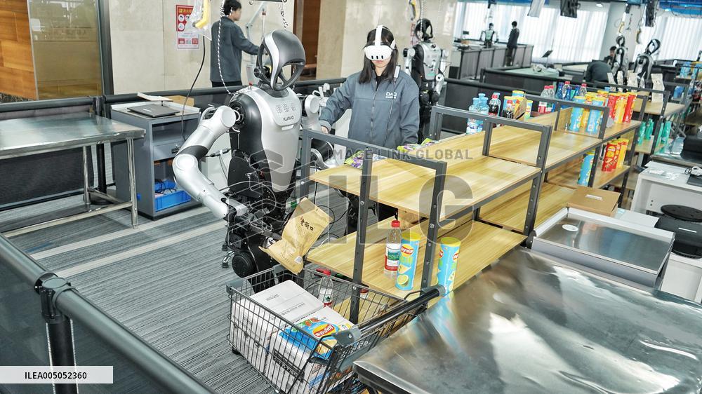 Humanoid Robot Training Ground
