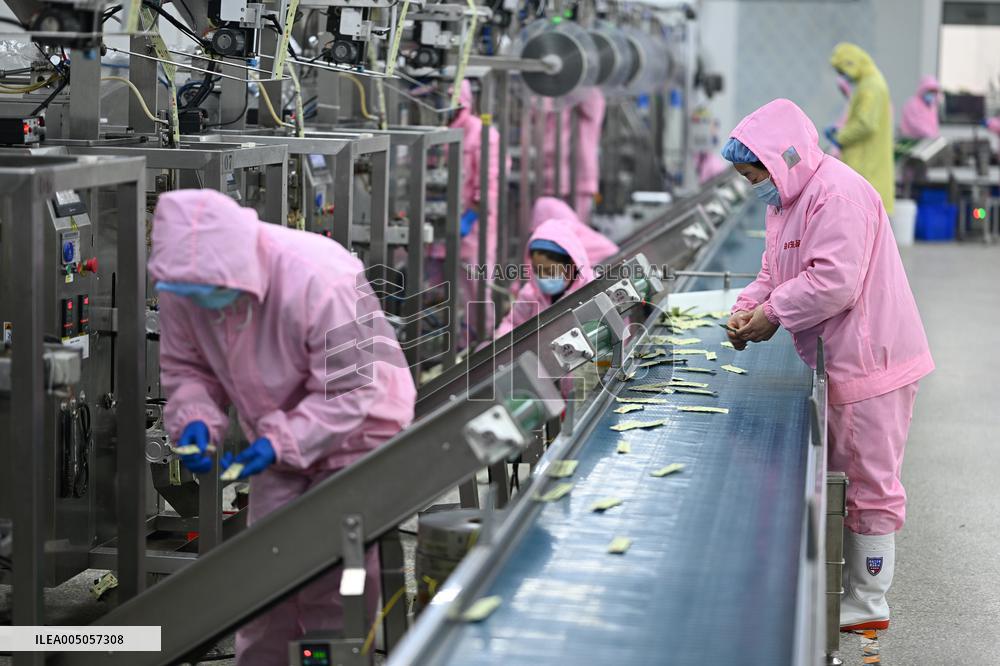 China Manufacturing Industry