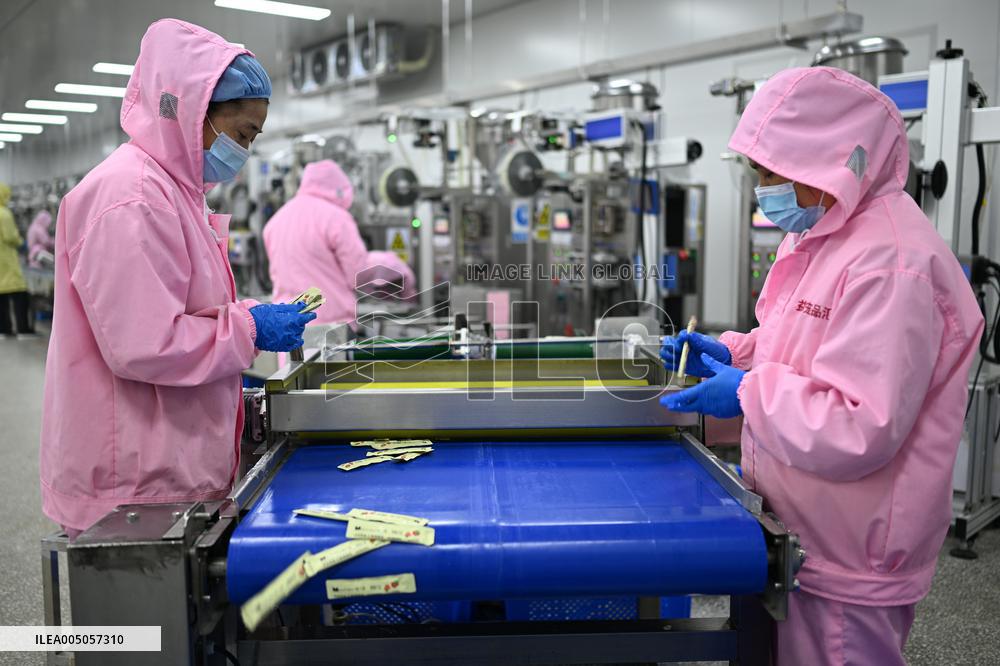 China Manufacturing Industry