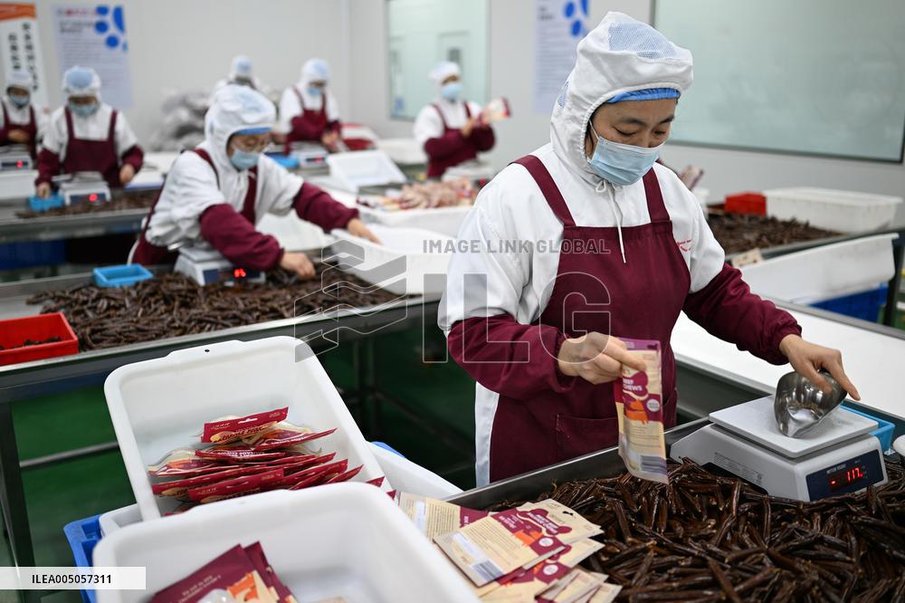 China Manufacturing Industry