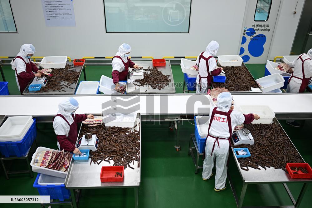 China Manufacturing Industry