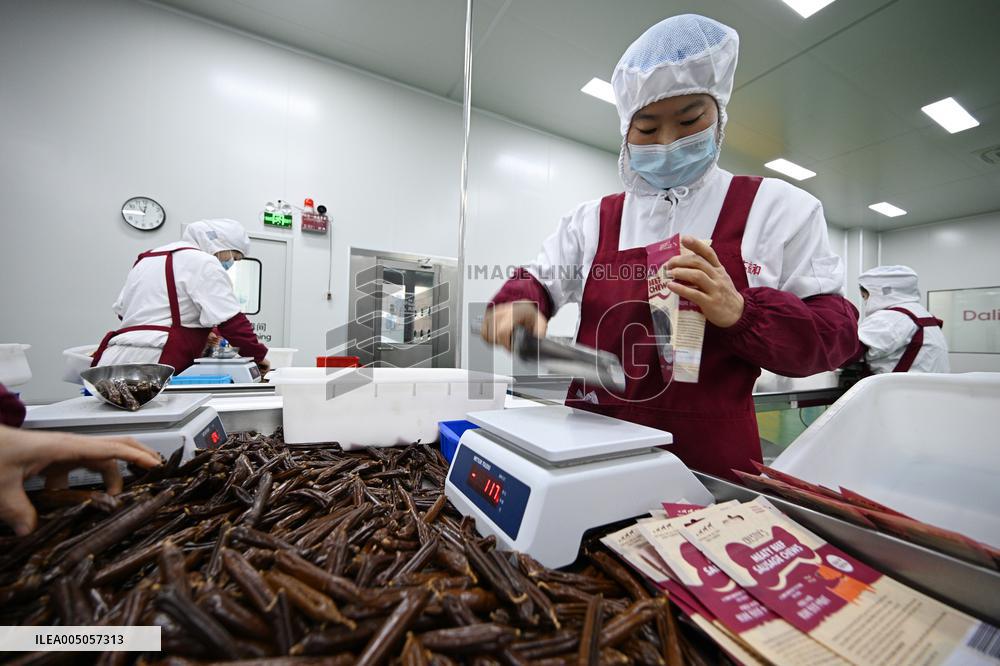 China Manufacturing Industry