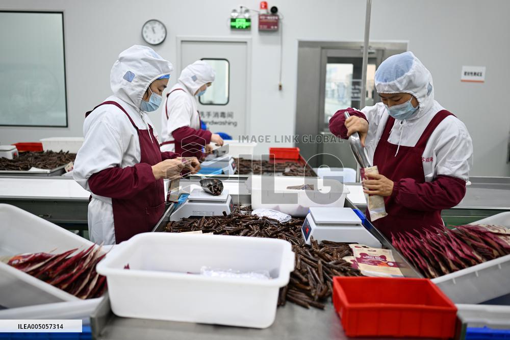 China Manufacturing Industry